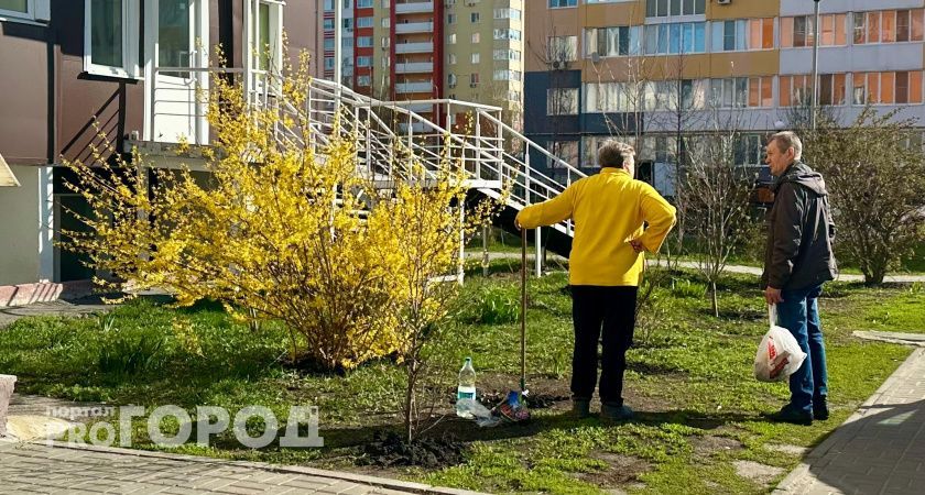 И двойная пенсия, и прибавка для работающих и неработающих россиян: с 1 мая пенсионеров ждет приятный сюрприз И двойная пенсия, и прибавка для работающих и неработающих россиян: с 1 мая пенсионеров ждет приятный сюрприз