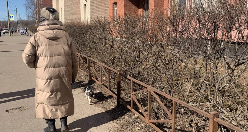 На пенсию по старости никто не пойдёт: новый график выхода на 2025 год — раскрыли точную таблицу по годам На пенсию по старости никто не пойдёт: новый график выхода на 2025 год — раскрыли точную таблицу по годам