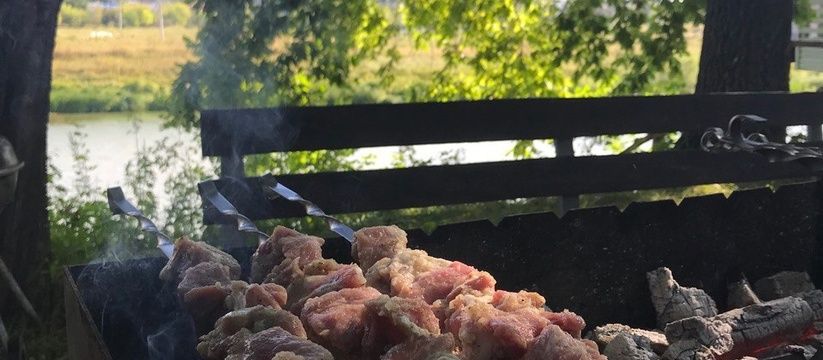 Советский шашлык по ГОСТу: вкуснее маринада для мяса не существует — классический рецепт времен СССР
