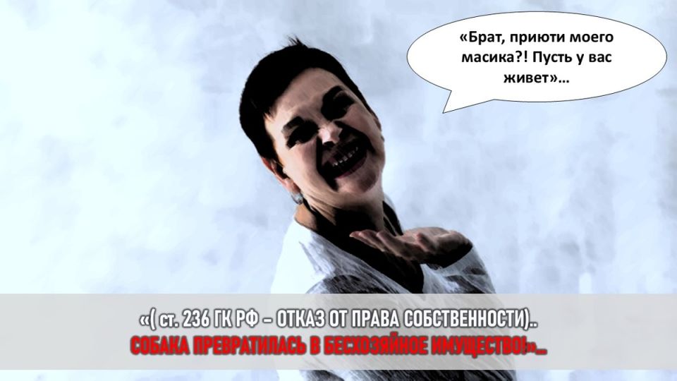 Собака или семья: как семейная драма из-за любимца еле не разорвала родственные связи