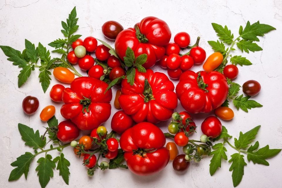 Томаты и помидоры: Разгадка Легенды о Яблоках Солнца