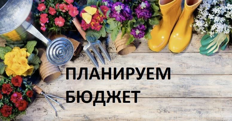 Как избежать лишних трат при планировании бюджета на садовый сезон 2025 года