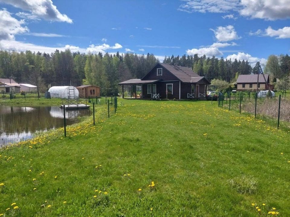 Пробуждение газона весной: шаги к идеальному ландшафту