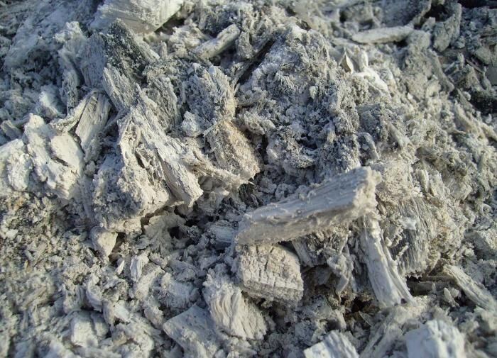 Как древесная зола может трансформировать ваш урожай: секреты успешного садоводства