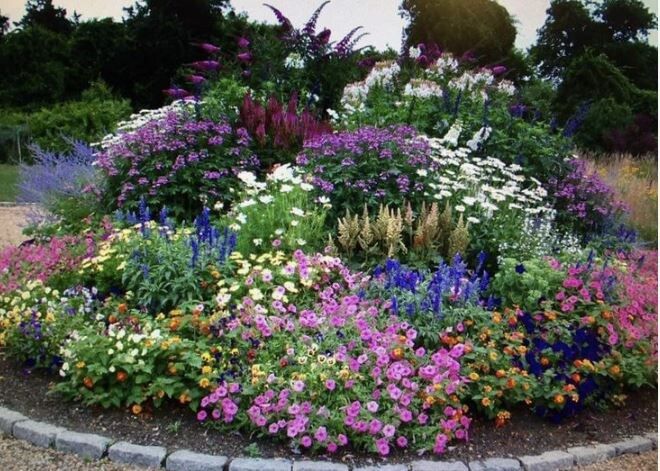 Создаем идеальный цветник: как сбалансировать красоту и функциональность в саду