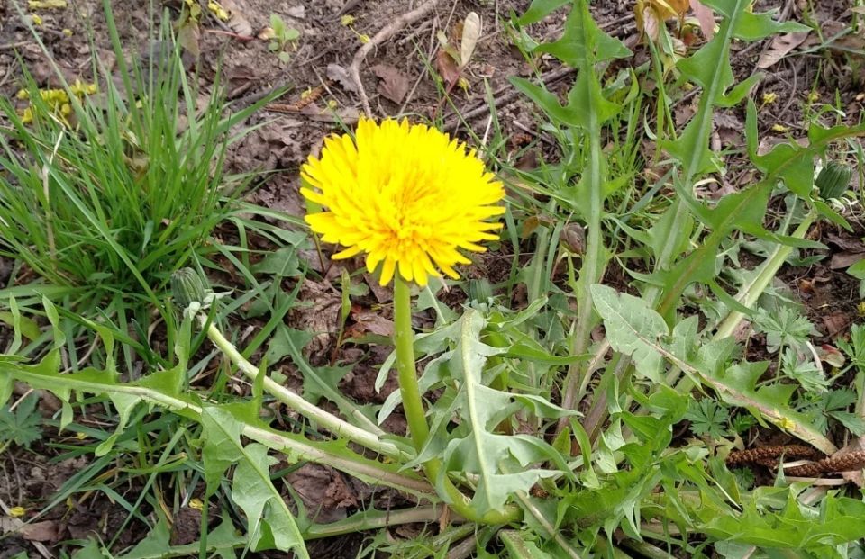 ��� �������� ����������: ������ �� ������ � ����������� ���������