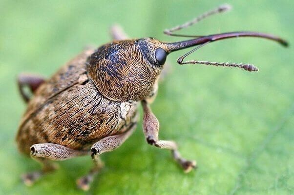 ��� �������� ��������� ��� �� ��������: ������ ��� ��������� ������