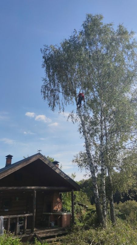 ����� ��������� �� ������� �������� ���������� ����������?