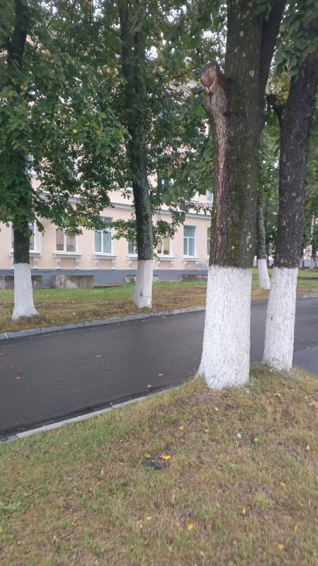 ��� �������� �����: ��� � ���������� �� �������� �����