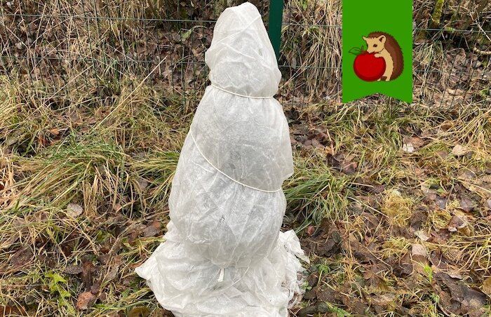 ������ ���� ��� ������� � ��� �� ������ ������