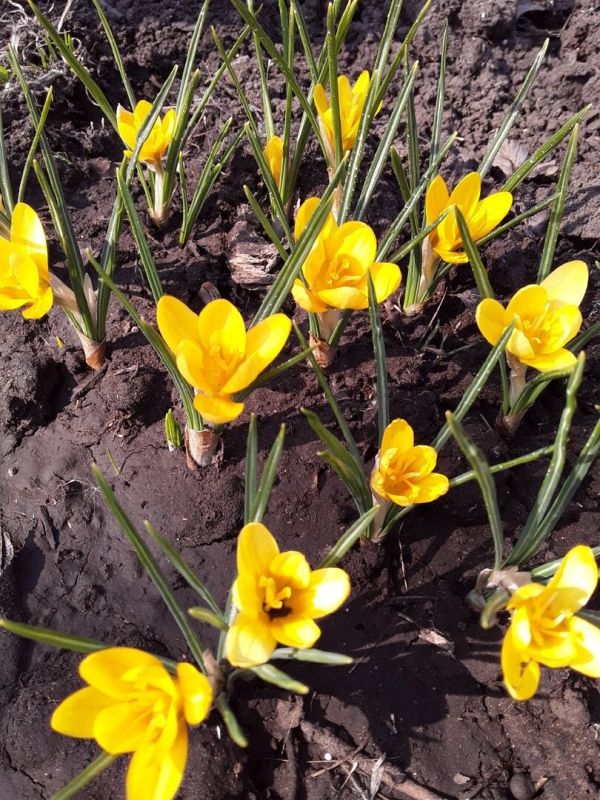 �������� ��������: ��� ������ ����� ��������� ��� ������ �� ���������� ����� ����