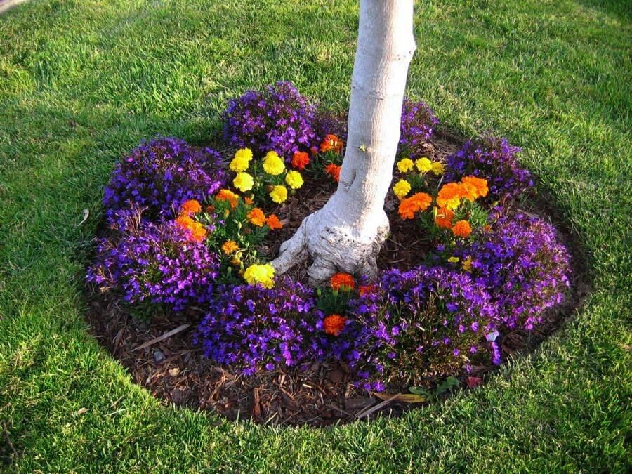 ������������ �����: ���� � �������� ����� ��������