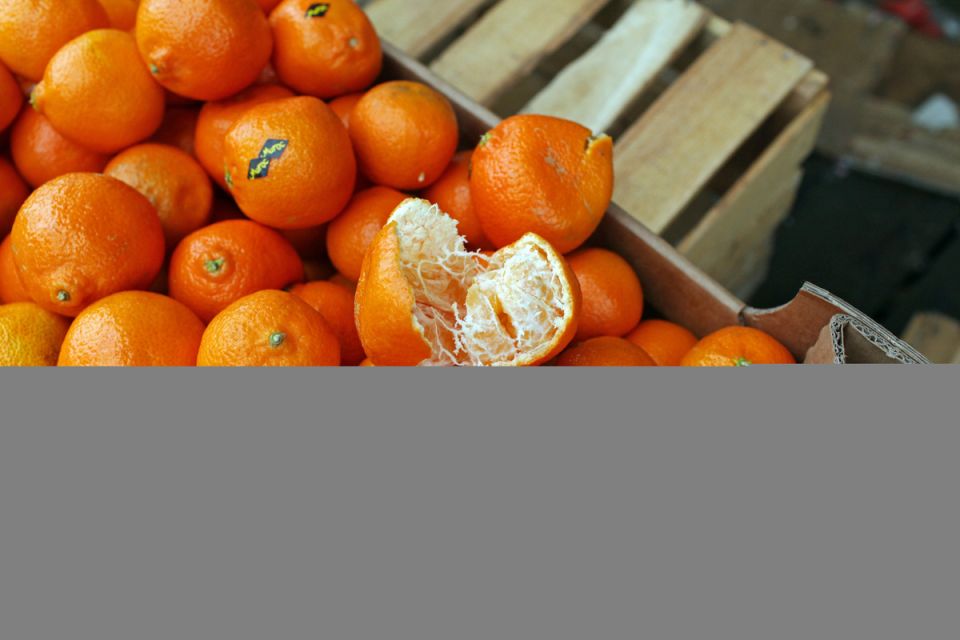 ���������� ������: �������� ���������� ���������� �����������