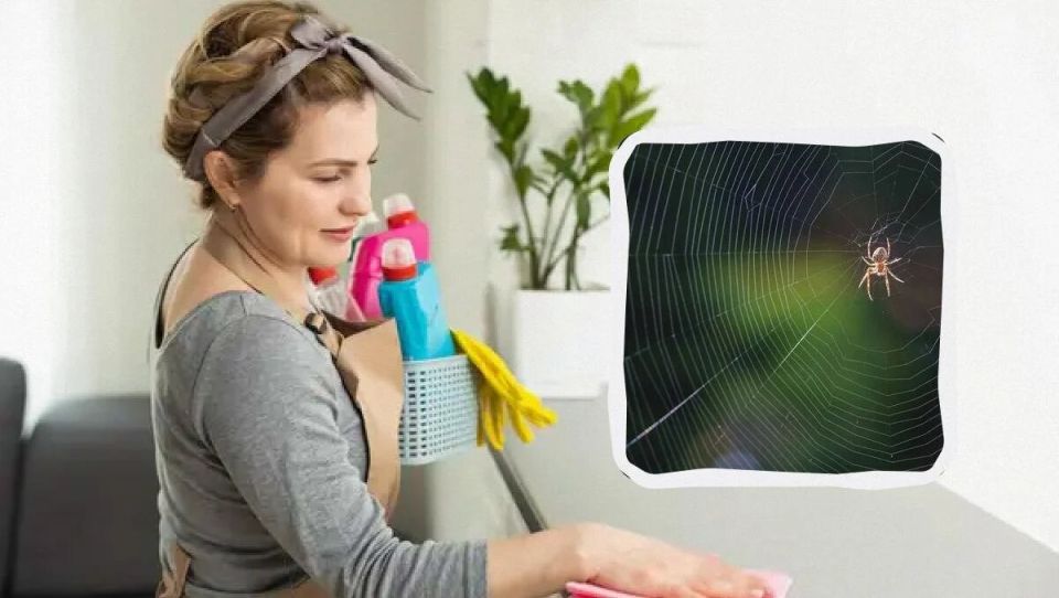 ����� � �������: ��� �� ��� ����������