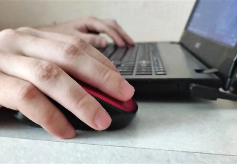 ������, ������� ����� ��������� ��� �������: ������ �� ���������