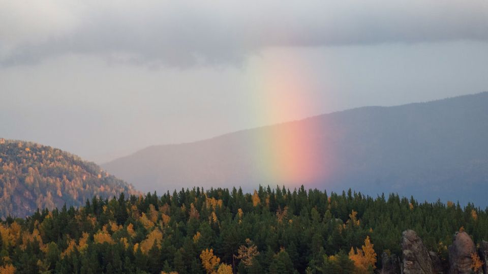 �������� ���������� $218 ���������� ��������� ���������� ����������