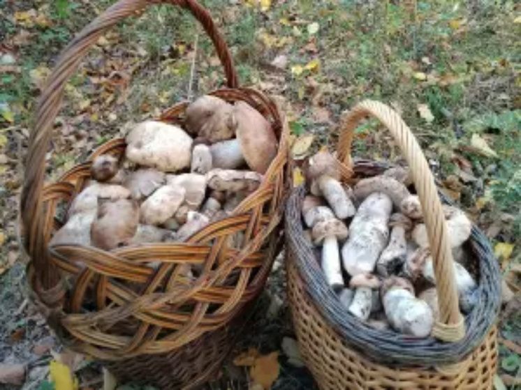 �������� ������������ ������ ������� �������� ������� � �������