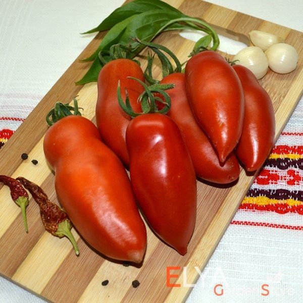 ������������ ����: ������������� ����� � ��������� ������ ��� ��������� � �����