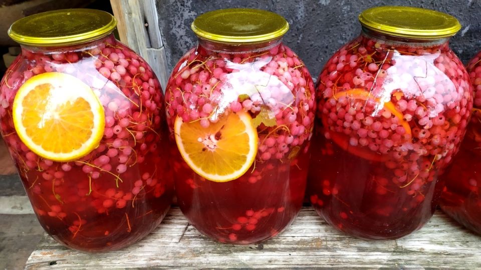 Как хранить компот из красной смородины и апельсина без стерилизации