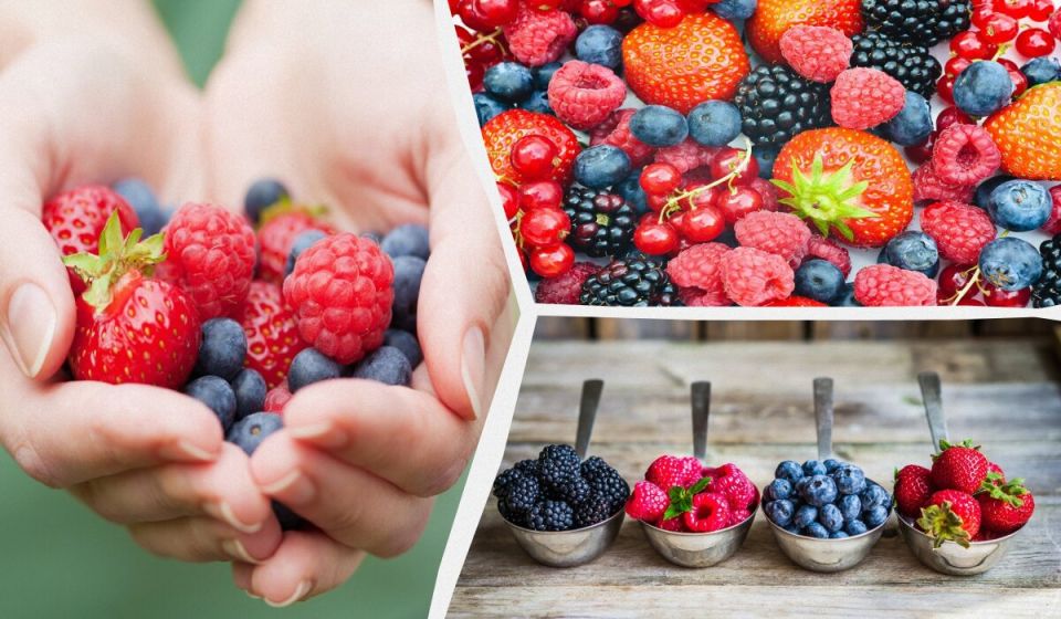 ������ ����, ������� ����� �������� � ���� ������ ��� ��������