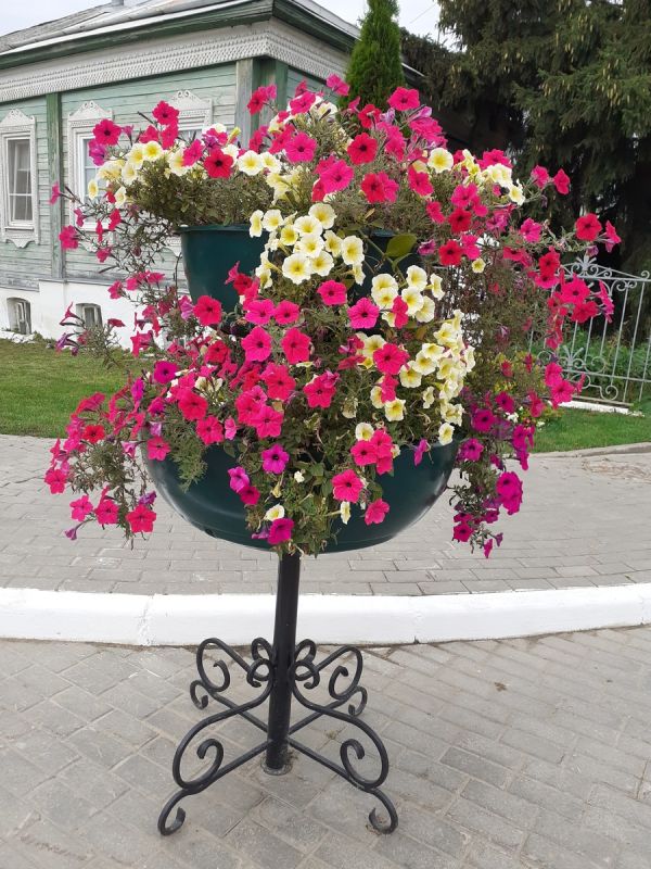 ������� � ����� ��������������: ������ ����� �� ������� ������ ����