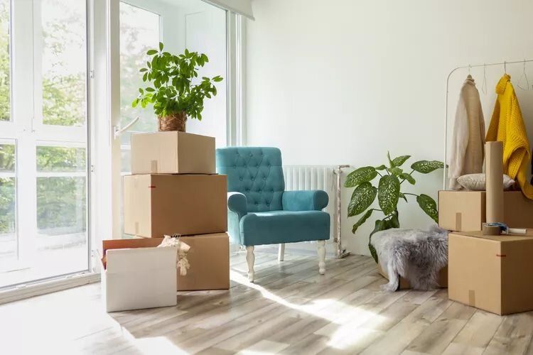 ��������� � ��������� �������: ��� ������� ����� �������� ��� ��������