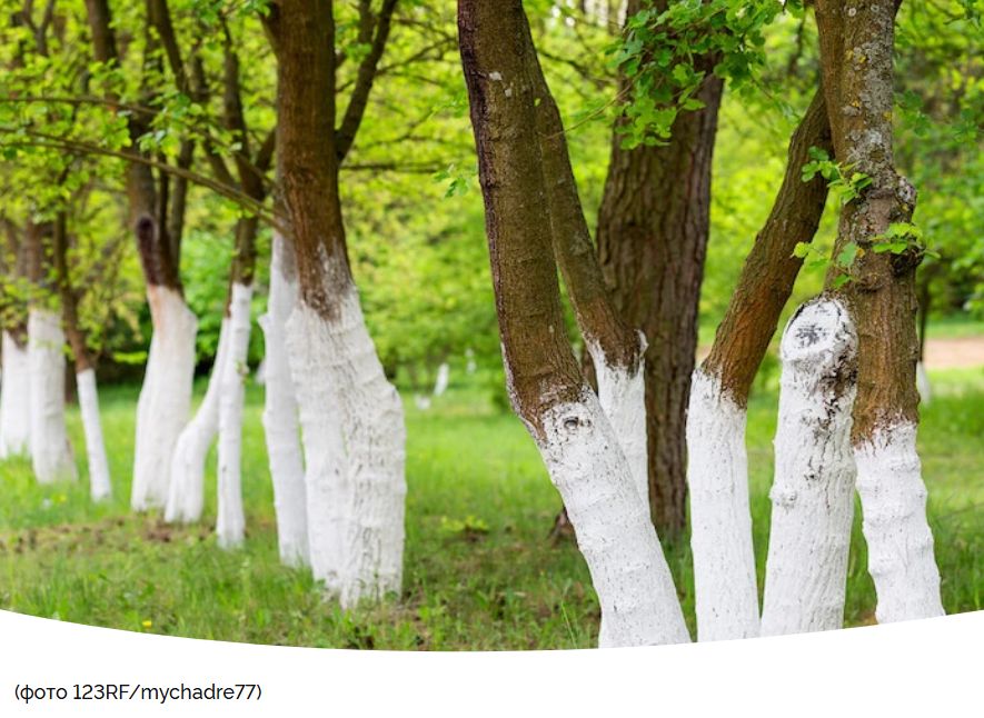 �������� ������� ��������: ���������� ����� ������, �������� � ��������