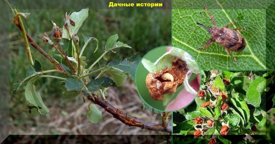 ���������� �� ������ � �������� ����: ��������� ������ �� ���� � ����������