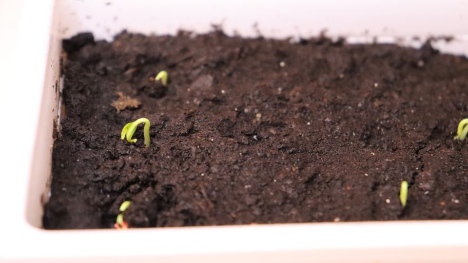 ������ ��������� ������� ����� �� ������� � ������� � ������� ������ �����