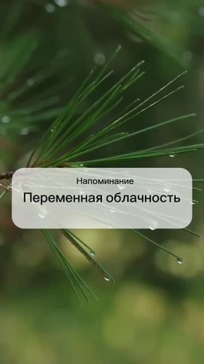#.   : 20     .   19     ,     ,     20-25/.