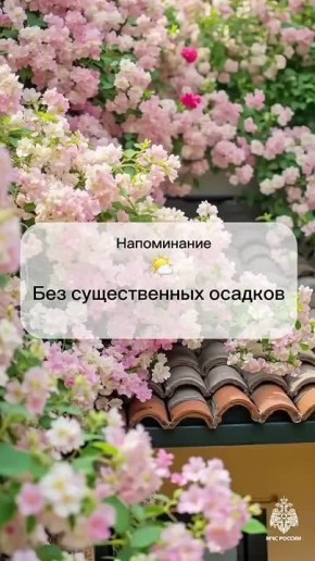 #.   : 22     .   ,    