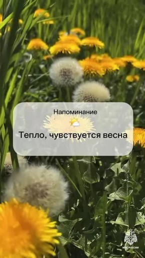 #.   : 24     .  ,               , 