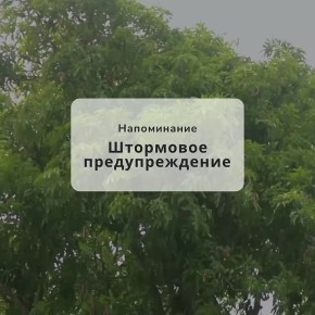   10  - 12      24    :  ,    ,     20-25 /;