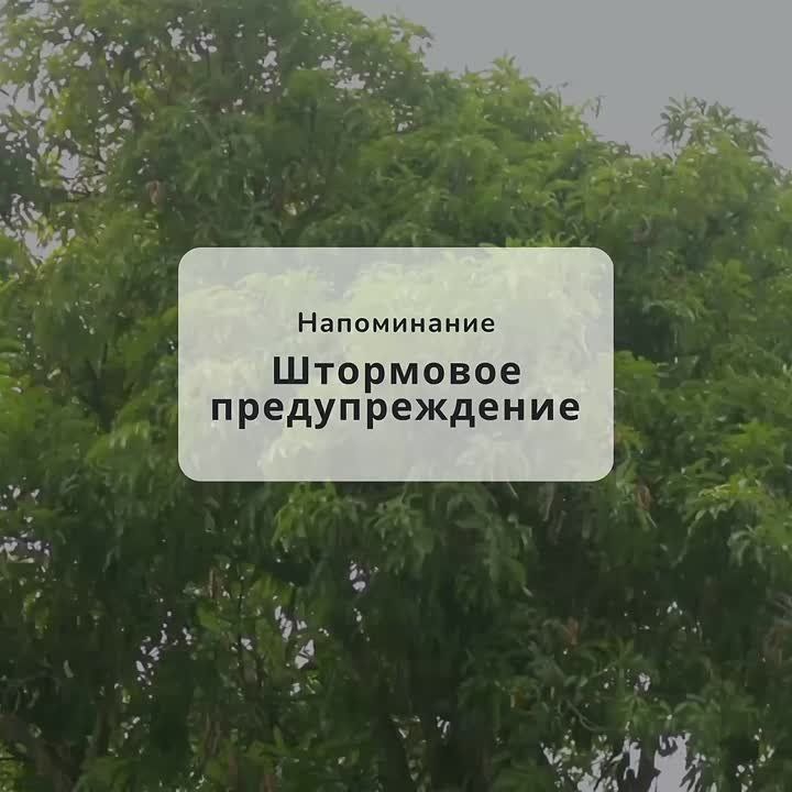   14-16      29 ,    30       ,     ,     20-25 /;       ...