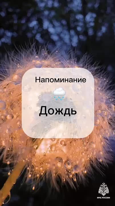 #.   : 29-30     .     ,       , 