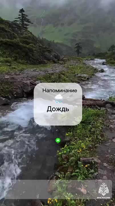 #.   : 3 - 4     .  , ;     ,     ,     20-25 /
