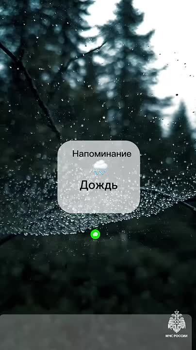 #.   : 4 - 5     .  , ,     ;    4     ,  ...
