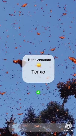 #.   : 5 -6     .   ,        , ;  5 ,    6   ...