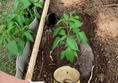    ,    :  ,    