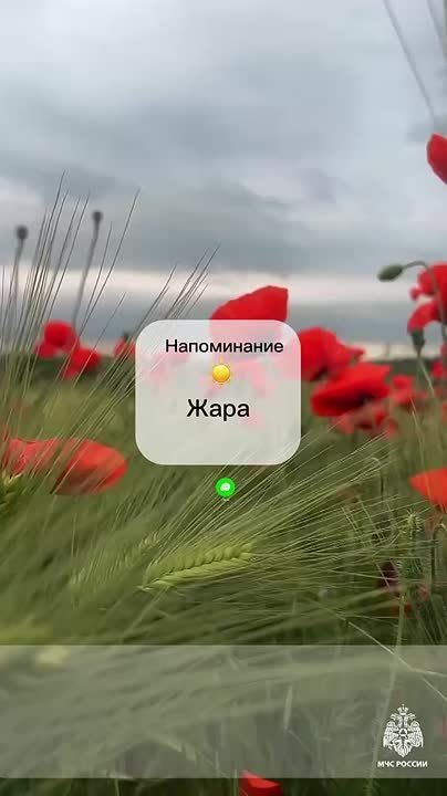 #.   :  .  .