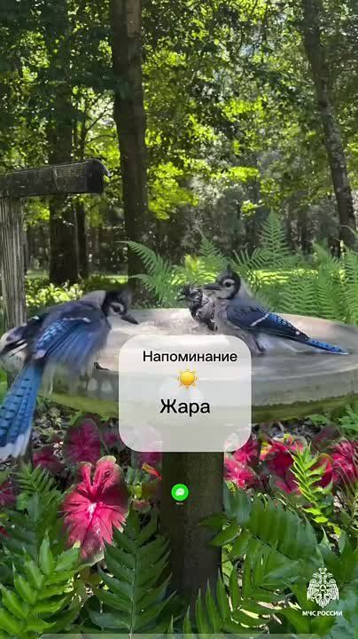 #.   :           , ;     