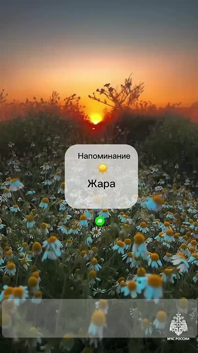 #.   :  