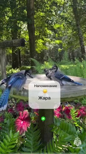 #.   :  