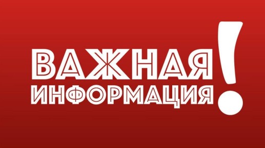  .              31.01.25  10:00  17:00