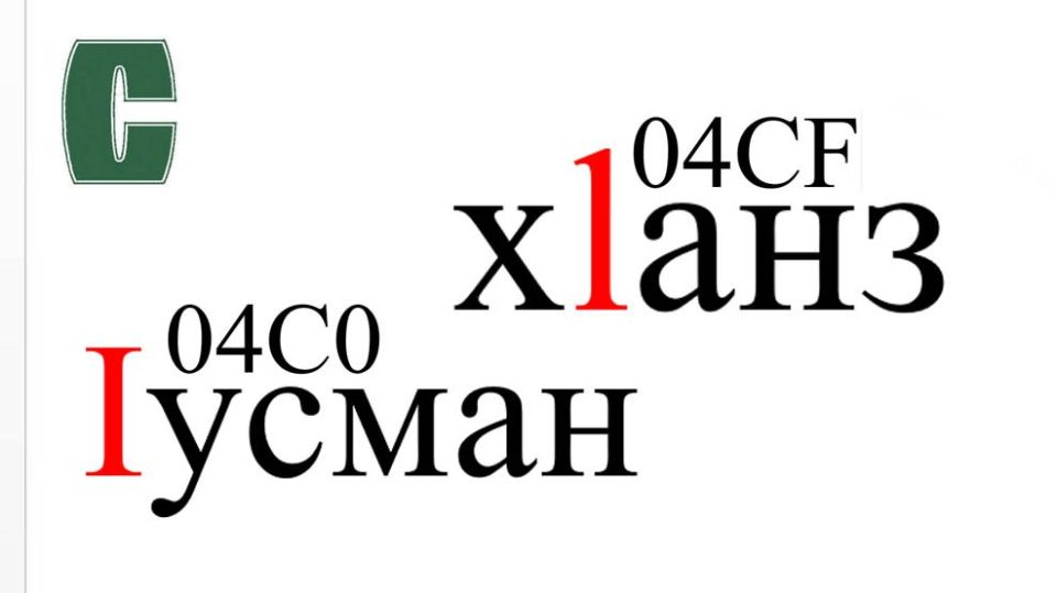        Microsoft Word