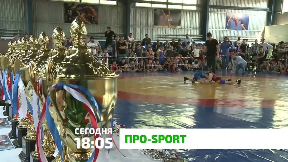-Sport.        -Sport!           