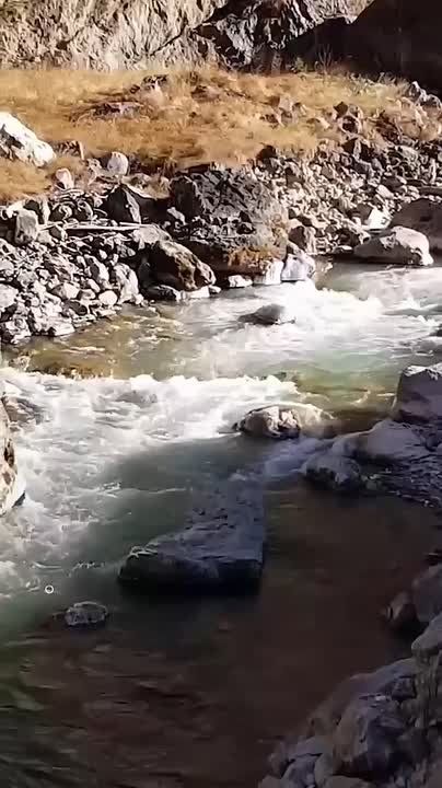     :        