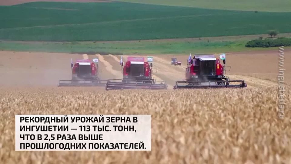      - 113 