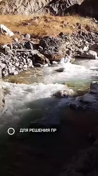     :        