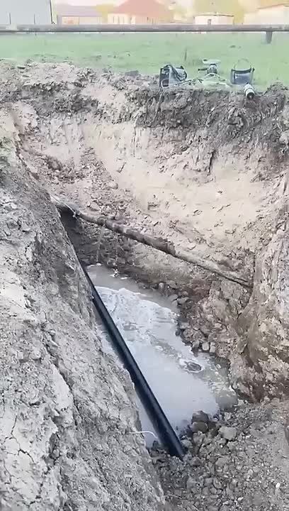  1,4             -  